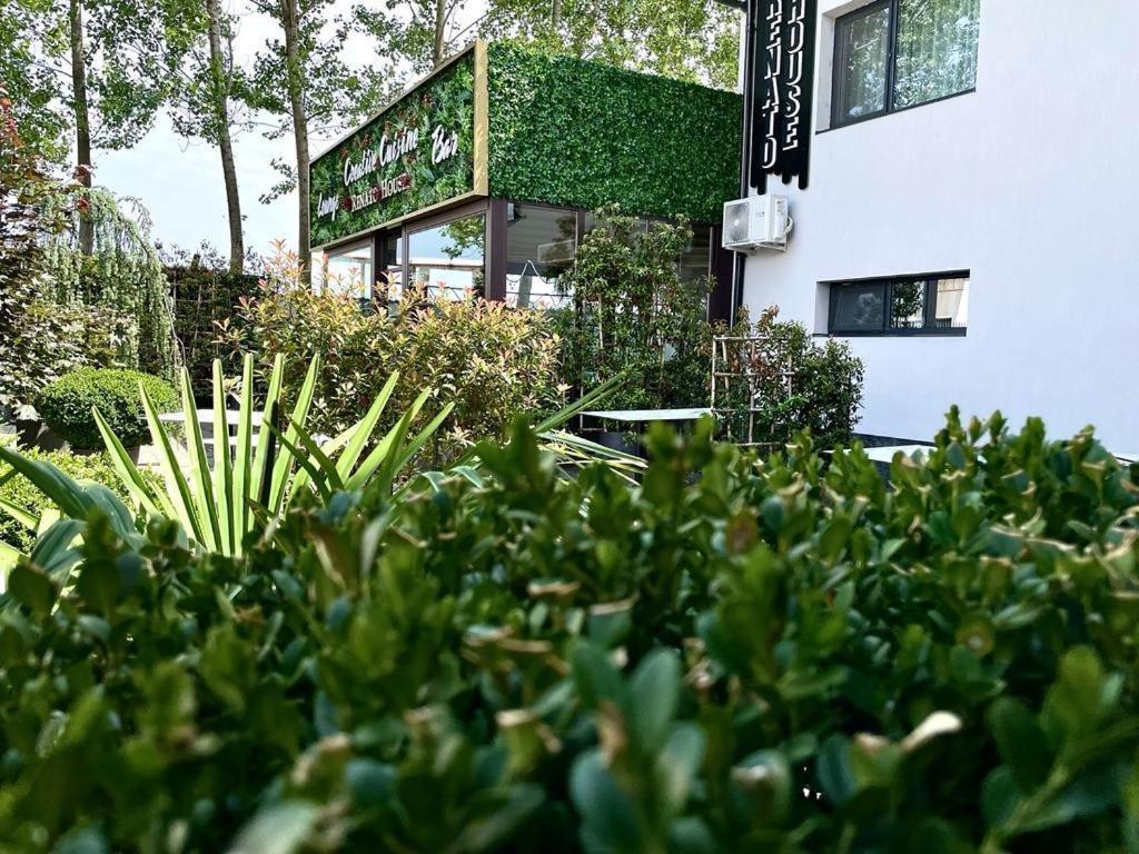 Renato House Hotel Târgu Jiu Eksteriør billede