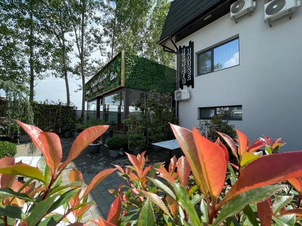 Renato House Hotel Târgu Jiu Eksteriør billede